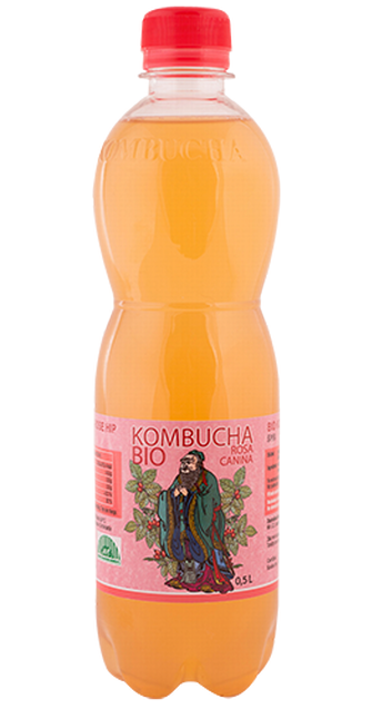 Bio Kombucha Šípek 500ml Stevikom